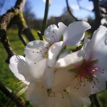 Nicare Guest house Agrigento