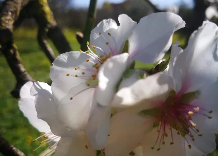 Nicare Guest house Agrigento